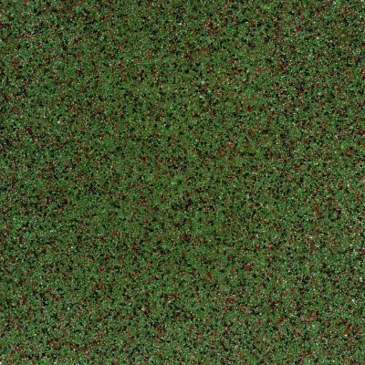 2026_06_10_239972