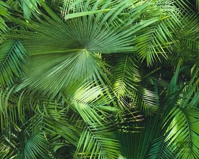 2026_06_11_353473