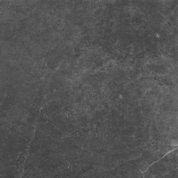 2026_06_11_356068